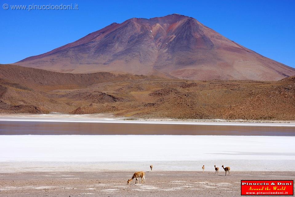 BOLIVIA 2 - Ruta de Las Joyas - Laguna Chiar kkota - 7.jpg